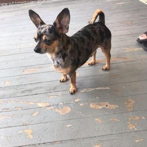 Meet your Posher, Marcus